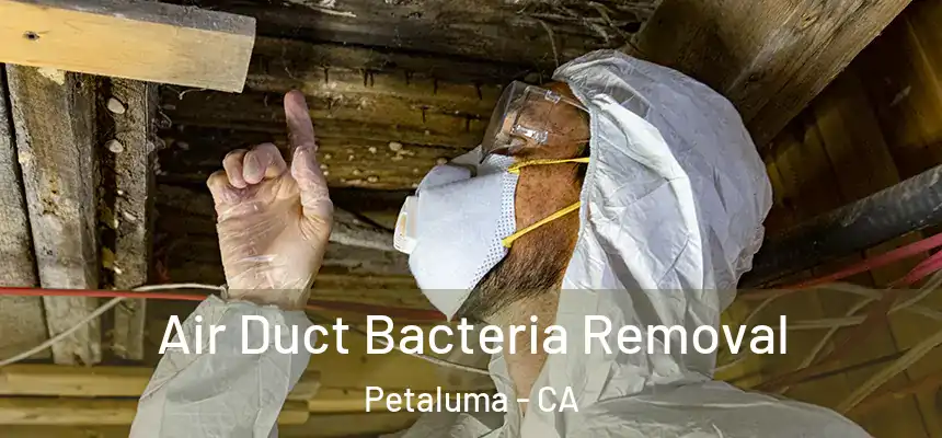  Air Duct Bacteria Removal Petaluma - CA