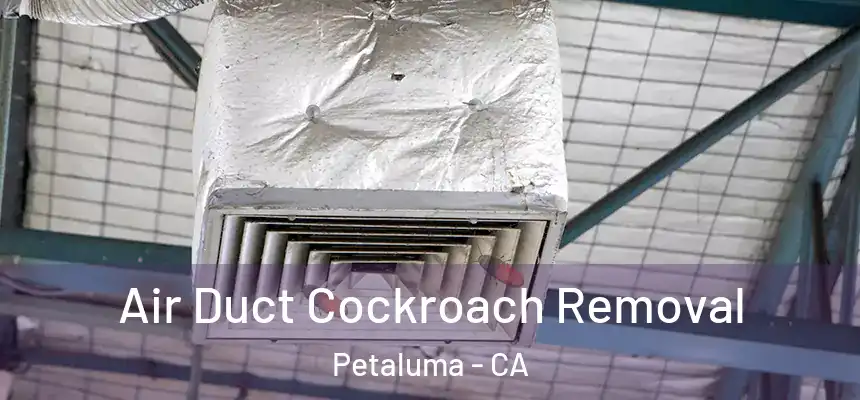  Air Duct Cockroach Removal Petaluma - CA
