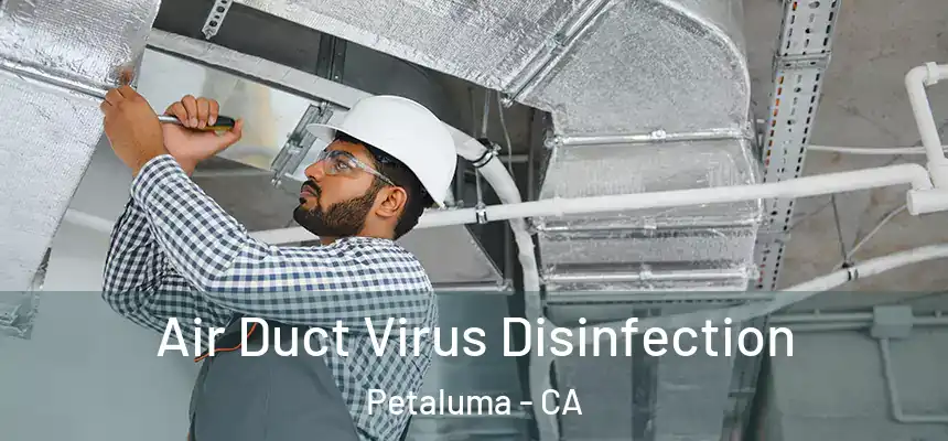  Air Duct Virus Disinfection Petaluma - CA