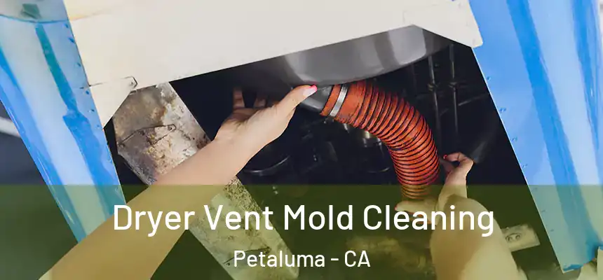  Dryer Vent Mold Cleaning Petaluma - CA