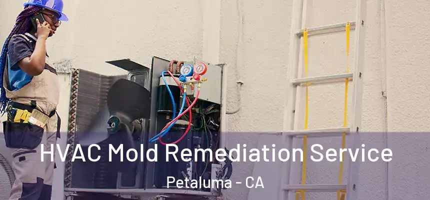  HVAC Mold Remediation Service Petaluma - CA