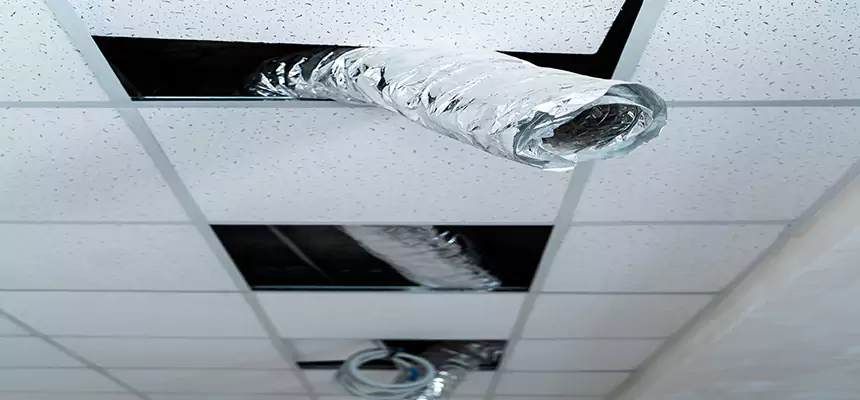 Affordable HVAC Sanitizing After Pest Removal in Petaluma