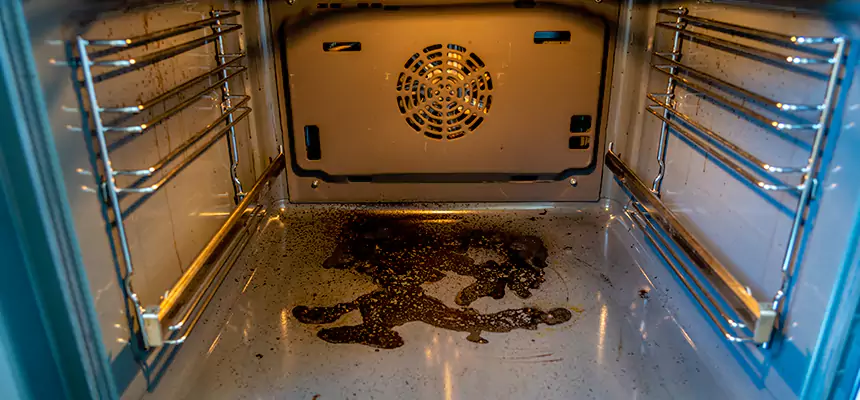 Our Dryer Vent Mold Cleaning Services in Petaluma, CA