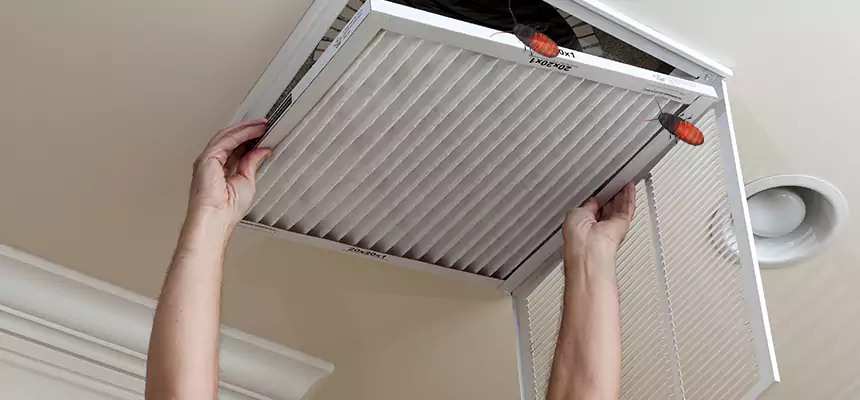 Our Insect Removal from Air Ducts Services in Petaluma, CA