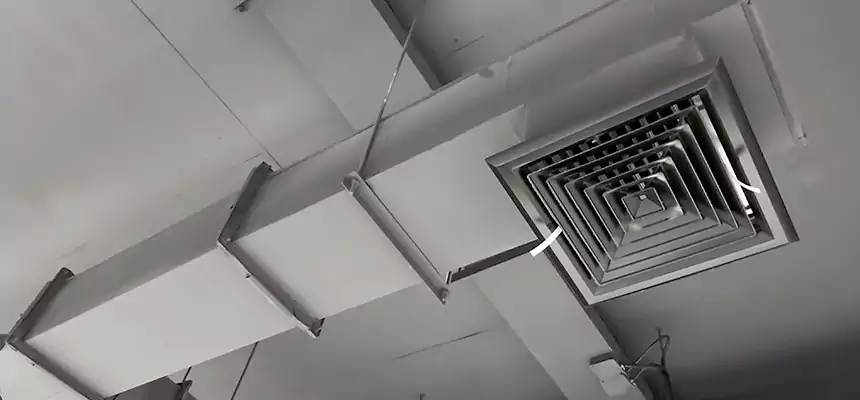 Our Rodent Droppings In Vents Services in Petaluma, CA