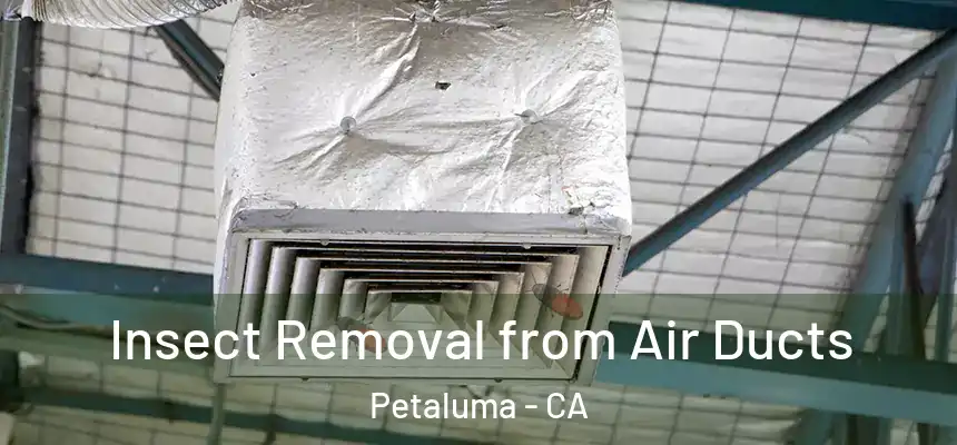  Insect Removal from Air Ducts Petaluma - CA