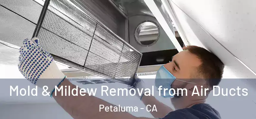  Mold & Mildew Removal from Air Ducts Petaluma - CA