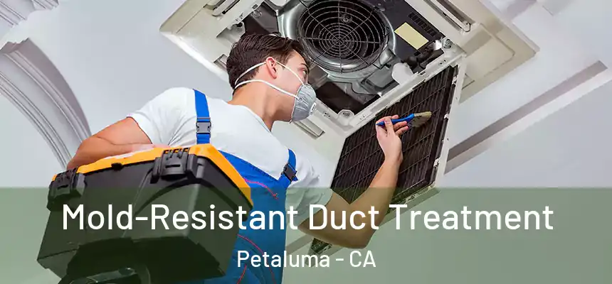  Mold-Resistant Duct Treatment Petaluma - CA