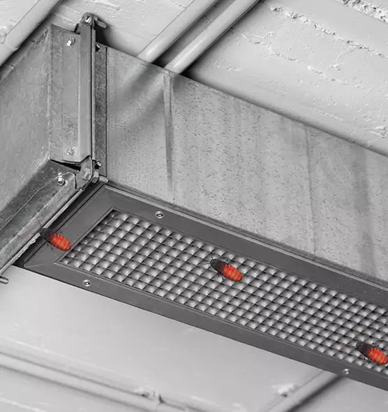 About Air Duct Cockroach Removal in Petaluma, CA