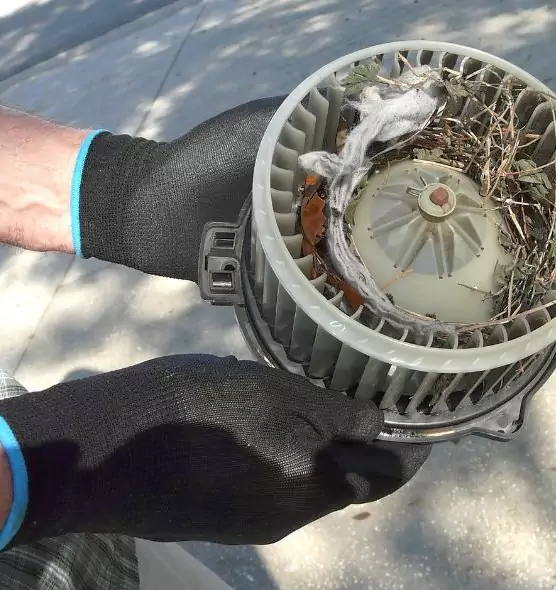 About Air Duct Rat Removal in Petaluma, CA