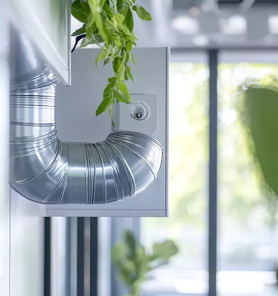 Professional Eco-Safe Dryer Vent Cleaning in Petaluma, CA