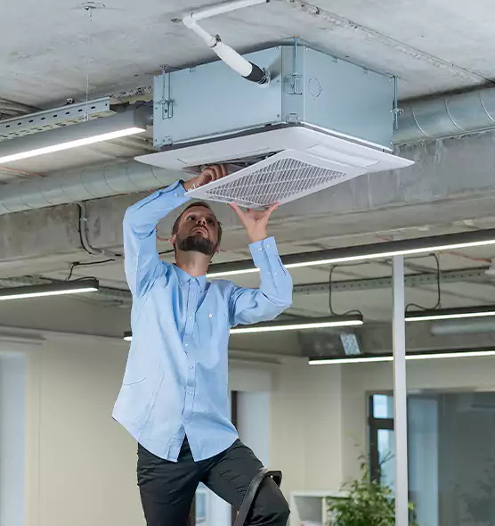 Advanced Rodent Droppings In Vents in Petaluma, CA
