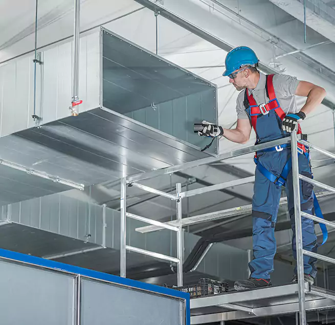 Why Homeowners & Businesses Trust Us in Petaluma, CA?