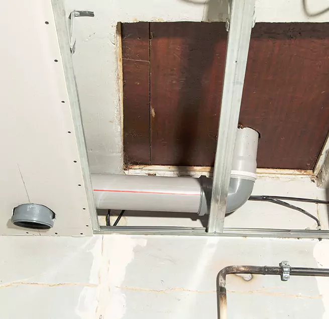 Why Homeowners & Businesses Trust Us in Petaluma, CA?