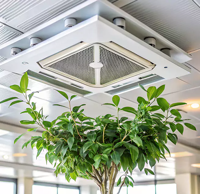 Why Homeowners & Businesses Trust Us in Petaluma, CA?