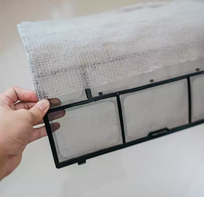 Why Homeowners & Businesses Trust Us in Petaluma, CA?