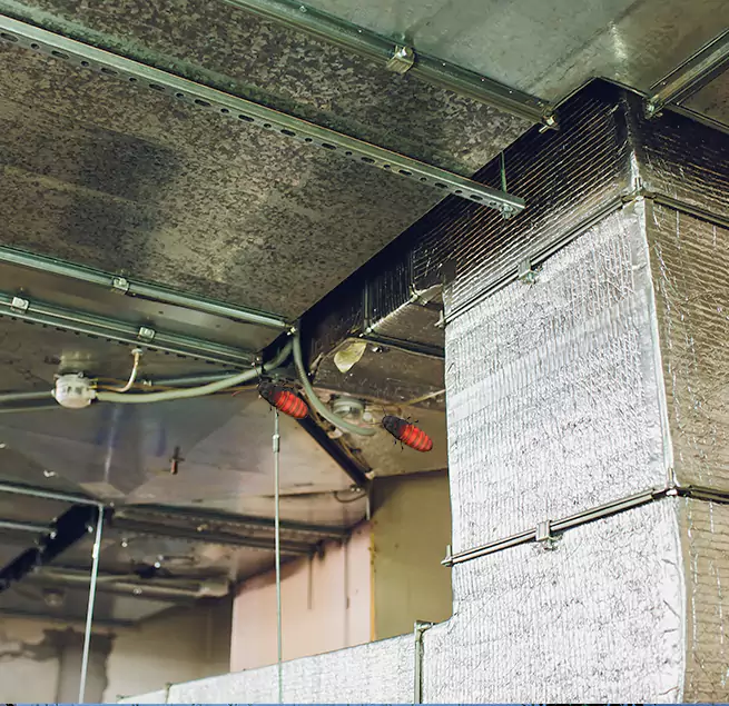 Why Homeowners & Businesses Trust Us Petaluma, CA?