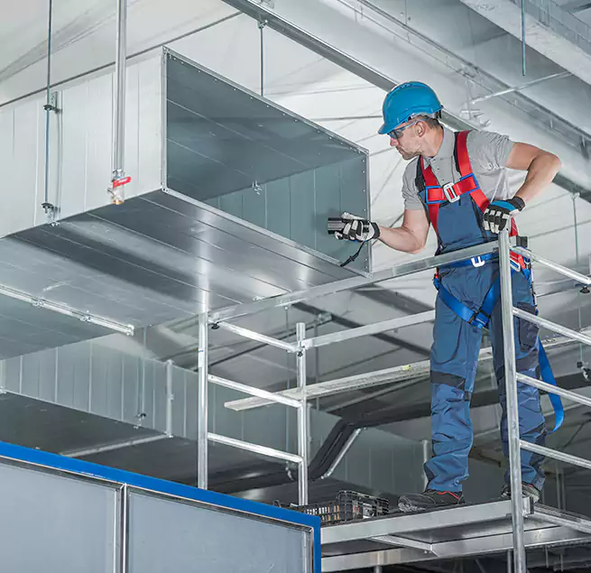 Why Homeowners & Businesses Trust Us in Petaluma, CA?